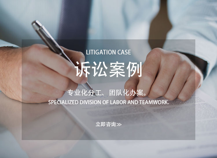 诉讼案例